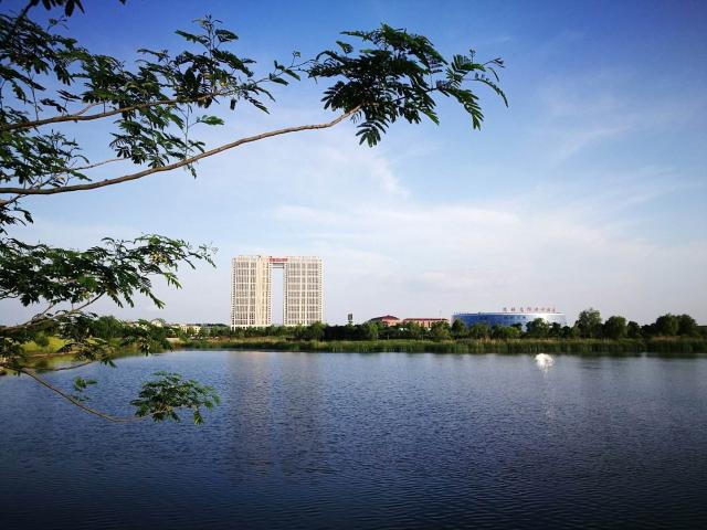 雷火电竞亚洲先驱-江苏海安杯足球锦标赛完美收官，赛场火爆的简单介绍