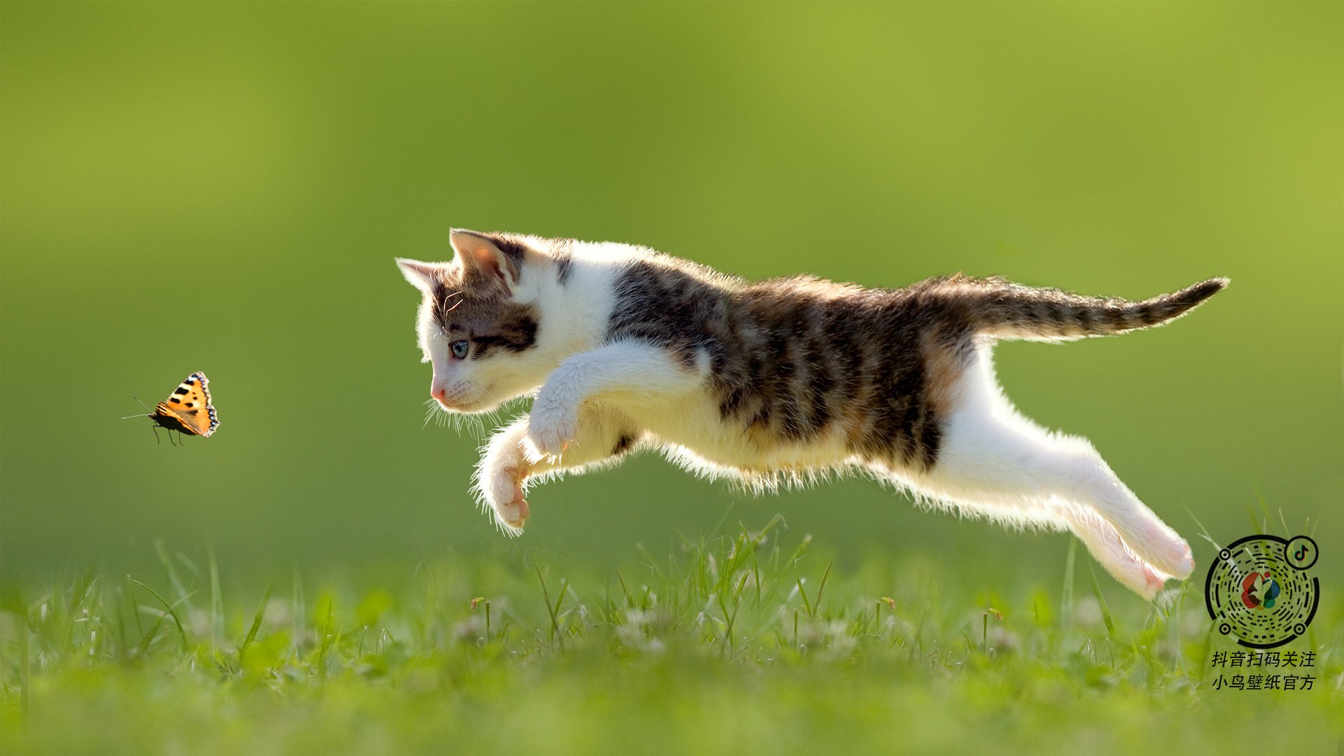 雷火电竞官网-篮球场上的闪电德比，快船速胜猛龙背后的德甲争冠节奏