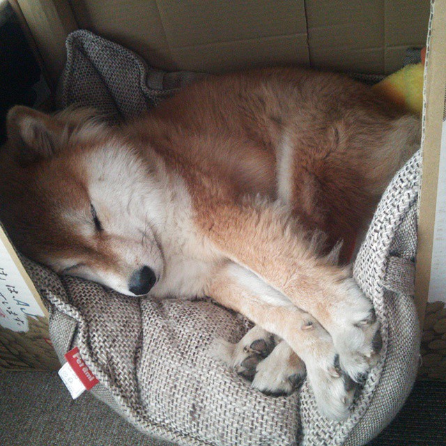 从0-5到11-9，当世界第一的门迪在绝境中接管比赛