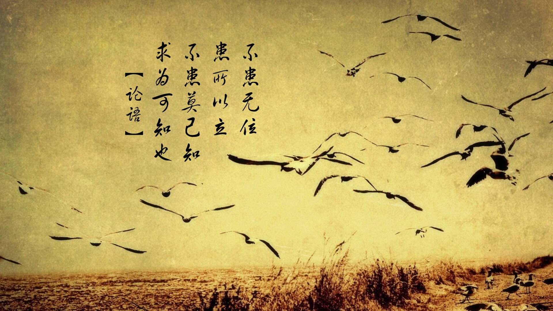 北岸花园的流星,当防守艺术家在东决舞台点燃进攻烈焰