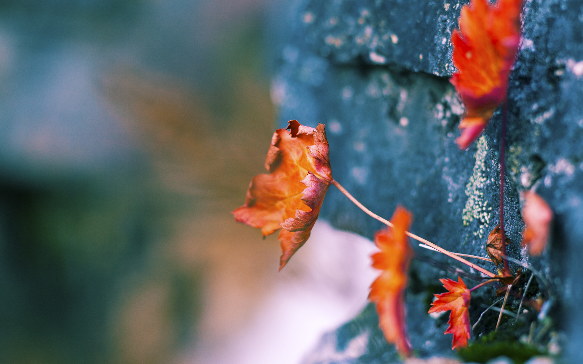 雷火电竞简介-山海惊奇，山西队五千年运球叩响未来之门