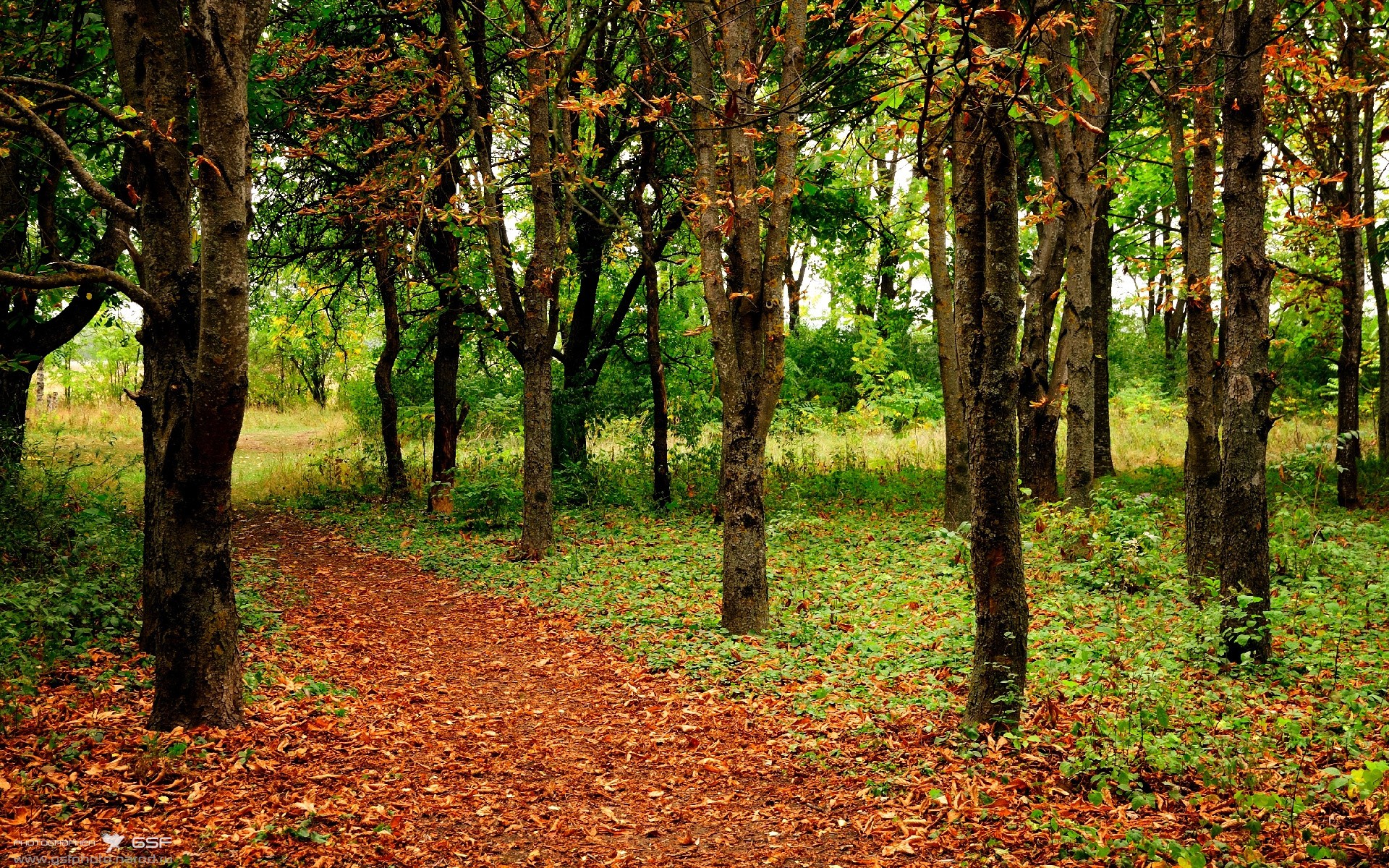 雷火电竞app-库里被冰封之夜！霍勒迪用冠军级防守让勇士主场失声
