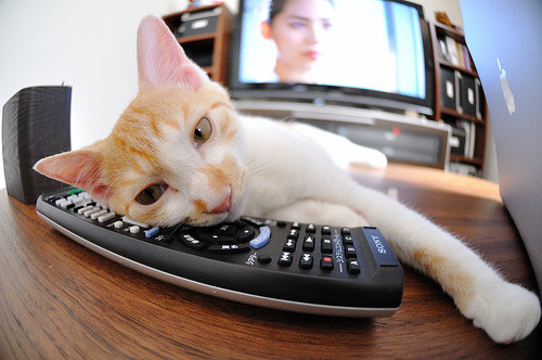 空袭与陆战，老鹰叼走上海滩，约基奇用掘金哲学完成闭环