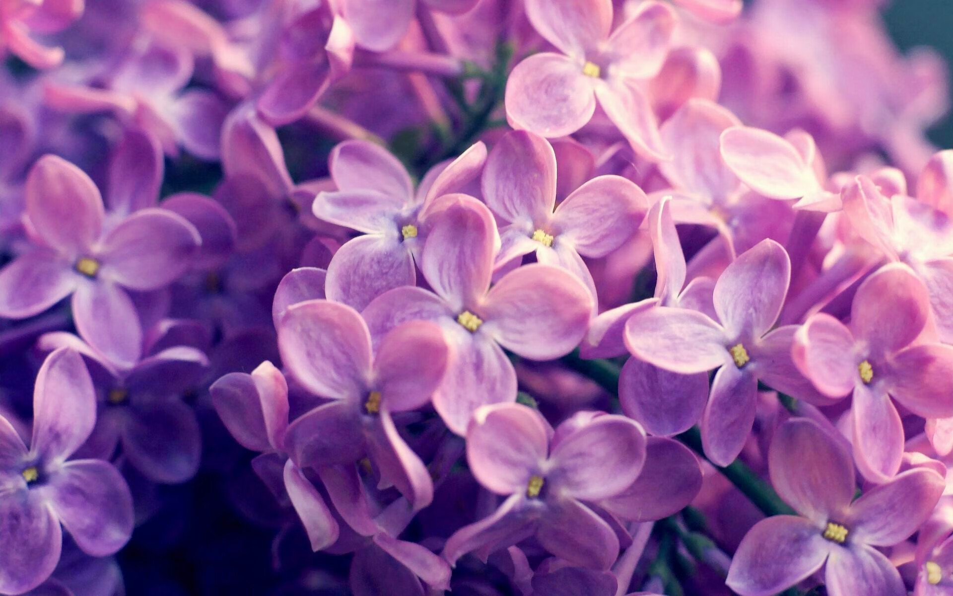 德罗赞,与时代为敌的逆行者,今夜评分拉满即是终极辩白