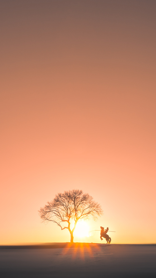 雷火电竞入驻-跨越两端的传球，布鲁诺如何用一次触球与一记射门，斩断皇家社会对阵新西兰的全部悬念