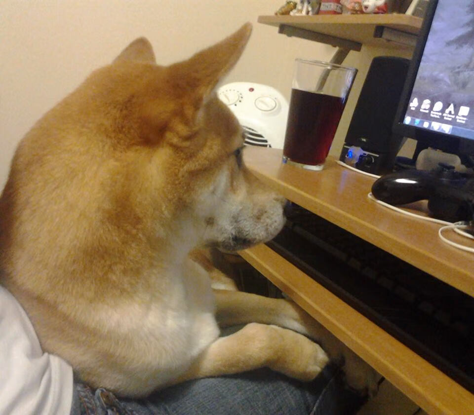 钥匙与锁，福克斯如何单骑破局，率领广厦正面击溃雷霆