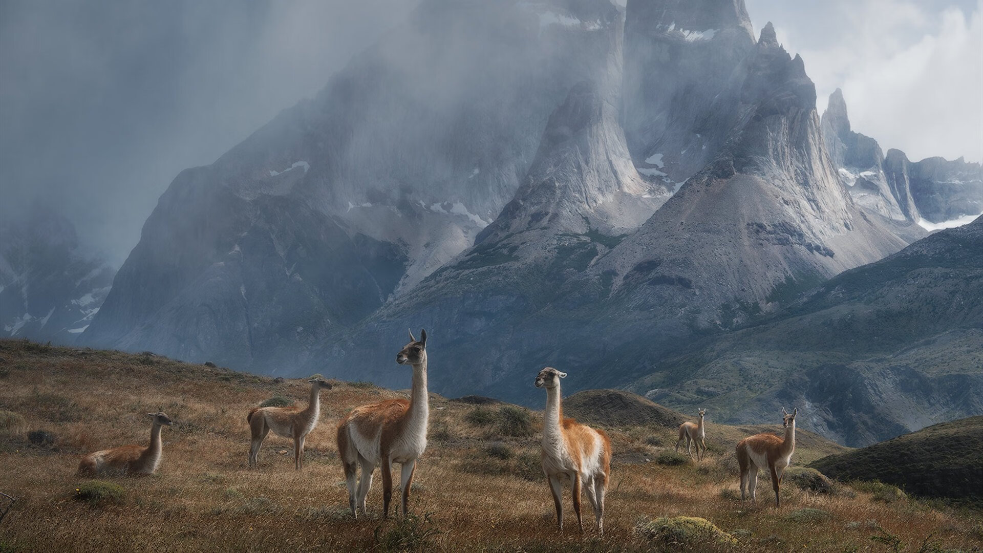 当足球灵魂闯入篮球圣殿，苏亚雷斯在NBA季后赛之夜的完美犯规