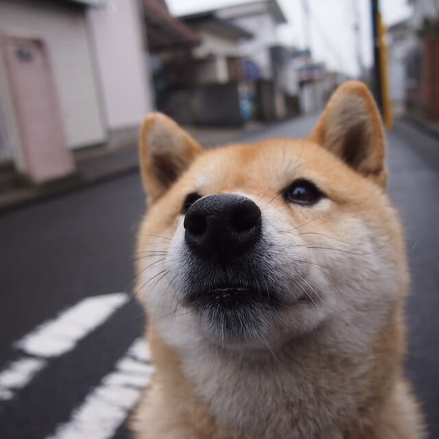 速度与激情交织的体育周末，F1揭幕战焦点对决引爆赛道，尼克斯狂胜湖人震撼篮坛