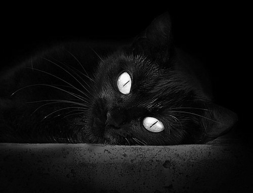 雷火电竞合作-伦纳德交响曲，山西争冠路上最激昂的音符