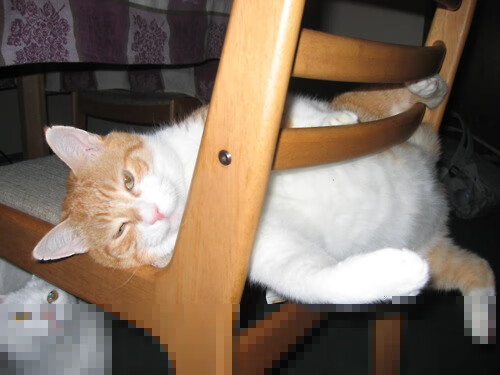 未竟的传说，当阿圭罗在德甲争冠夜的横空出世