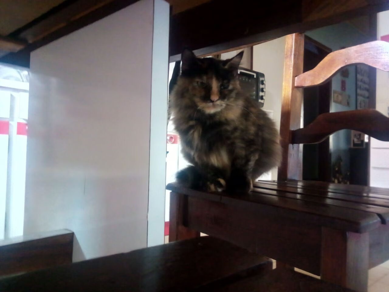 雷火电竞简介-如果切特在快船，论末节接管比赛的终极形态