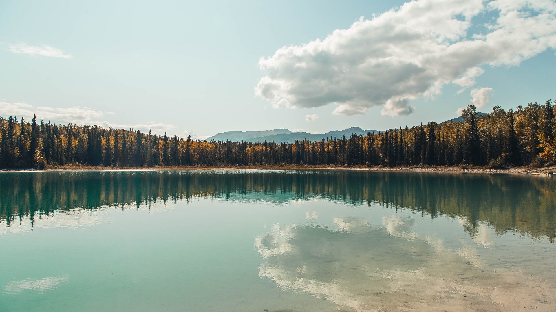 雷火电竞主播-绿军节奏傀儡师，当爱德华兹的韵律笼罩北岸花园
