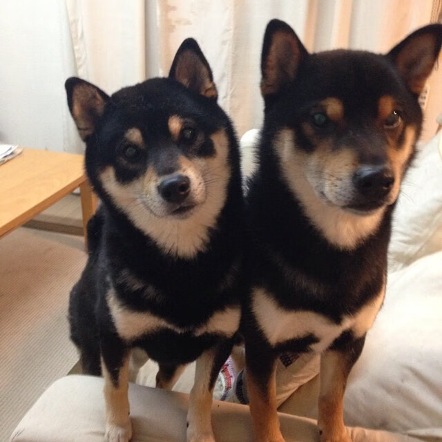 冰与火的圆舞曲，西亚卡姆用一场掌控封存洛杉矶的喧嚣