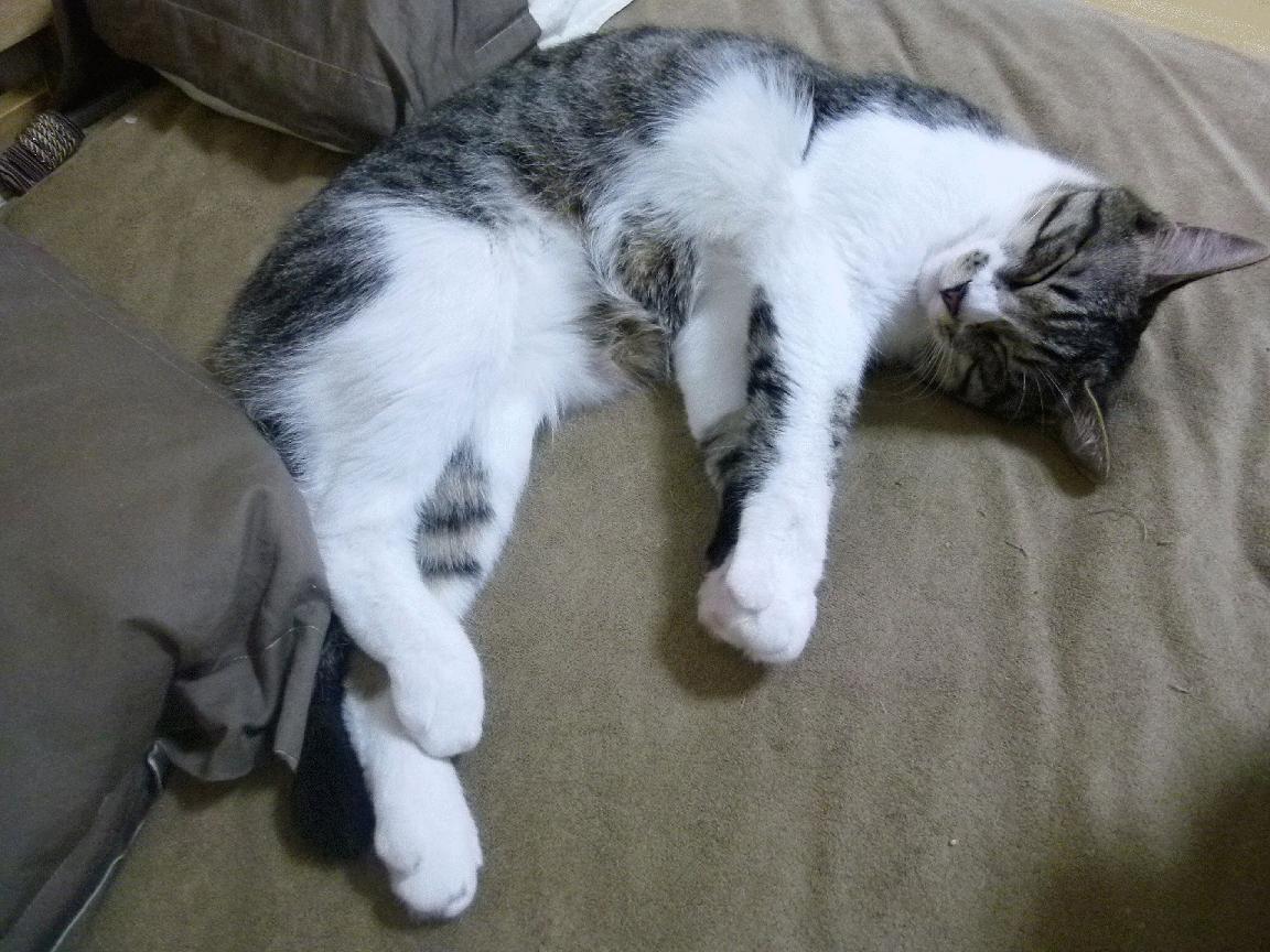 浓眉空降洛城德比？爵士快船激战夜，焦点竟是他！