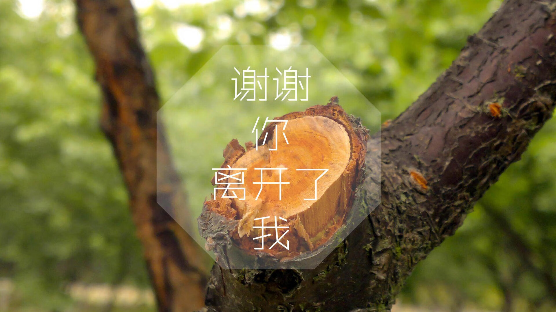 雷火电竞官网-潮汐的降服与礁石的独舞，当巴西的连续得分遇上楚阿梅尼的一夫当关