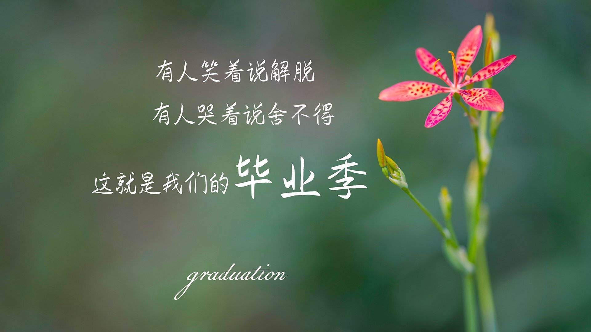 铁血复仇，2026世界杯F组关键战，智利横扫乌拉圭，努涅斯领衔强硬对抗改写南美格局