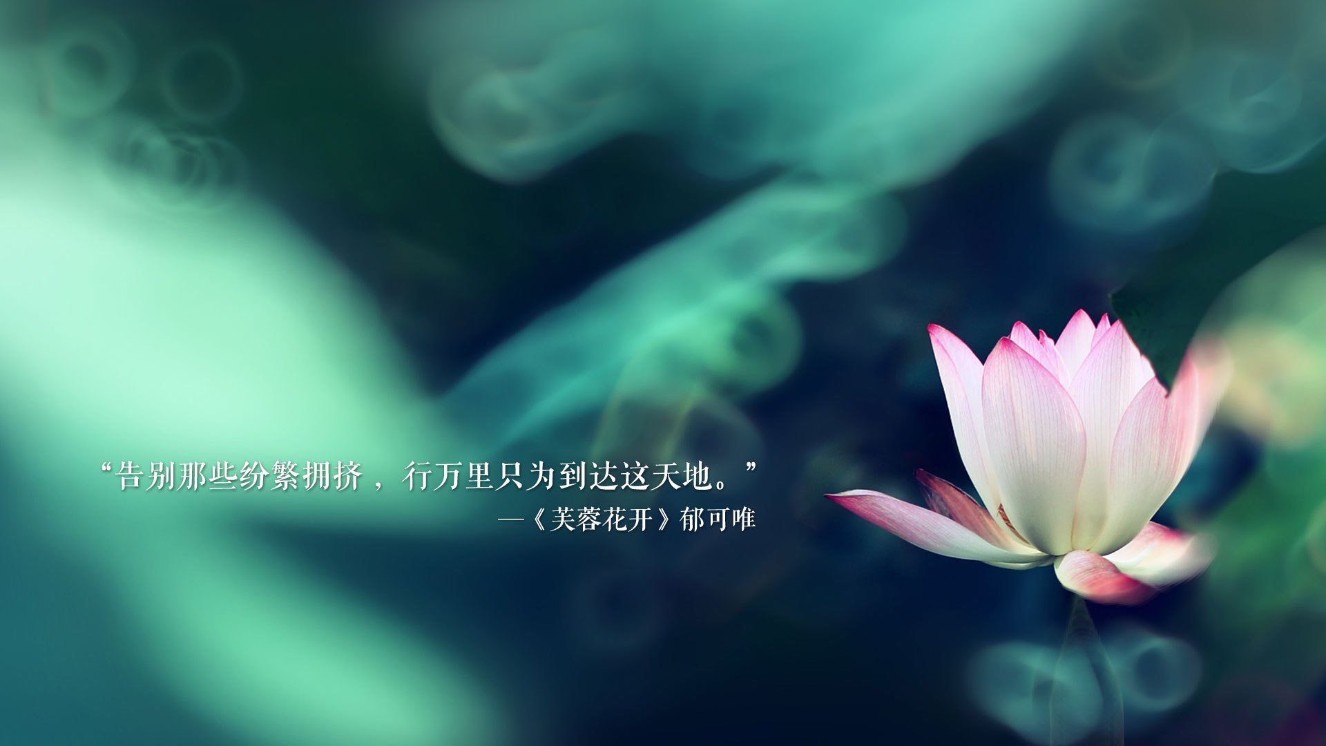 雷火电竞-沙漠中的足球风暴，2026世界杯八分之一决赛，伊朗铁骑踏破尼日利亚，苏亚雷斯在亚洲之光中重生